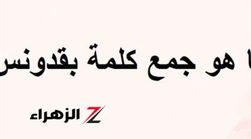 “أغرب جمع لكلمة ‘بقدونس’ حير الطلاب! لو أنت عبقري، تعال شوف الحل!”