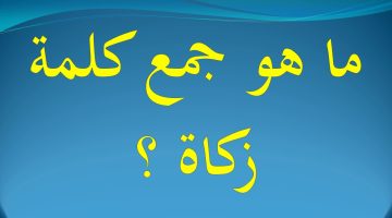 99% من الطلاب ميعرفهوهاش.. ما هو جمع كلمة زكاة في اللغة العربية التي يبحث عنها الملايين؟