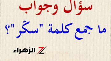 أتحداك تعرف تحلها .. ما هو جمع كلمة “سكر” في اللغة العربية التي يبحث عنها ملايين الطلاب؟؟ الإجابة غير متوقعة من دكتور جامعي