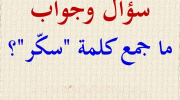 لغز محير للعقول عجز العباقرة عن حله! .. تعرف على جمع كلمة سكر في اللغة العربية؟ الطلبة هتجنن وتعرف الإجابة الصحيحة! .. اعرف حالا قبل الكل