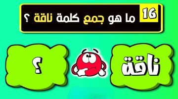 للعباقرة فقط.. ما هو جمع كلمة ناقة في اللغة العربية التي يبحث عنها الملايين؟