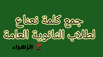 “سؤال حير الجميع”… جمع كلمة نعناع الصحيح . هتندهش من الإجابة!!