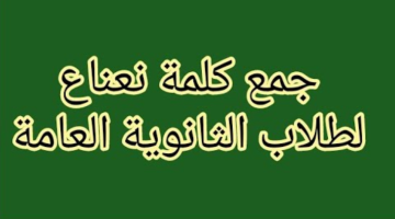 99% من الطلبة ميعرفوهاش.. ما هو جمع كلمة نعناع التي يبحث عنها الملايين؟