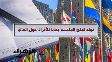 «بدون تقديم طلب هجرة أو دفع رسوم» .. دول تمنح الجنسية مجانًا للأفراد حول العالم| تعرف عليها