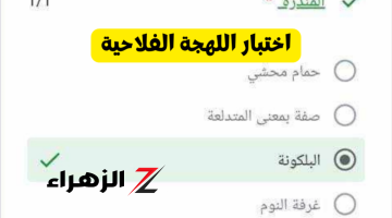 شوف نفسك فلاح ولا لا!!.. تحذير من اختبار اللهجة الفلاحي المنتشر على «فيسبوك».. شوف هتجيب كام من 20؟