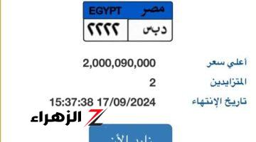 حقيقة عرض لوحة “د ب س- 2222” المميزة بسعر 2 مليار جنيه