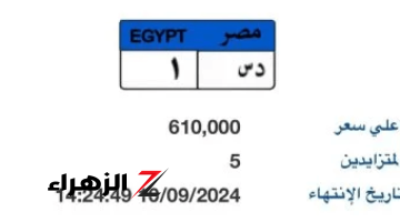 “د س- 1”.. طرح أحدث لوحة سيارة مميزة بسعر خرافي