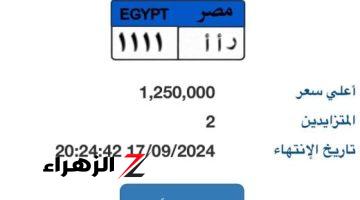 “ر أ أ- 1111” أحدث لوحة مميزة بالمزاد سعرها وصل مليون و250 ألف جنيه