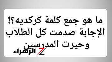 اوائل الطلبة معرفتش تحلها!!.. لن تصدق ما هو الجمع الصحيح لكلمة كركديه التي أبكت الطلاب وحيرت المعلمين؟! .. الإجابة غير متوقعة من أستاذ خبير