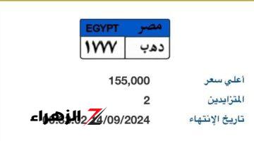 طرح لوحة مميزة حديثة تحمل رقم “د هـ ب- 1777” بالمزاد .. اعرف سعرها