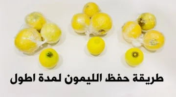 هتندمي ندم عمرك انك مكنتيش بتعملي كده!!.. فكرة عبقرية لتخزين الليمون من السنة للسنة بدون ما يتغير لونه أو طعمه هيبقى فريش زي ما هو!”