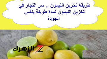 “بأسرار التجار” .. طريقة تخزين الليمون في الفريزر لمدة سنة بدون تغير في اللون أو الطعم .. هيفضل كأنك لسه شرياه!!