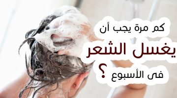 كام مرة؟.. عدد مرات غسل الشعر في الأسبوع على حسب نوع شعرك بالتفصيل!