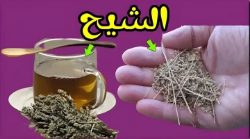 عشبة المعجزة أغلى من الذهب والألماس.. عشبة مفعولها كالسحر تقضي على السكر تماما ولا كانت تيجي على البال ولا على الخاطر.. ازاي عايش ومش عارف!!