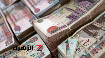 فكرة مشروع مربح برأس مال 20 ألف جنيه ومكسب مضاعف.. «مش هتخسر»