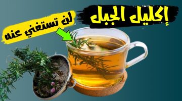 لن تستغنى عنه بعد اليوم.. اشرب إكليل الجبل يومياً وبعد 7 أيام هذا ما سوف يحدث لجسمك!!