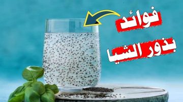 10 فوائد مذهلة تجعلك تتناول بذور الشيا يومياً.. هذا ما سيحدث لك!!