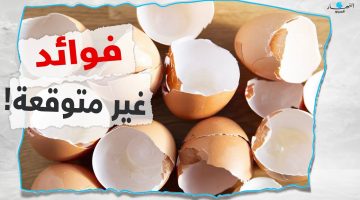 فوائد غير متوقّعة… لن ترموا قشر البيض بعد اليوم!