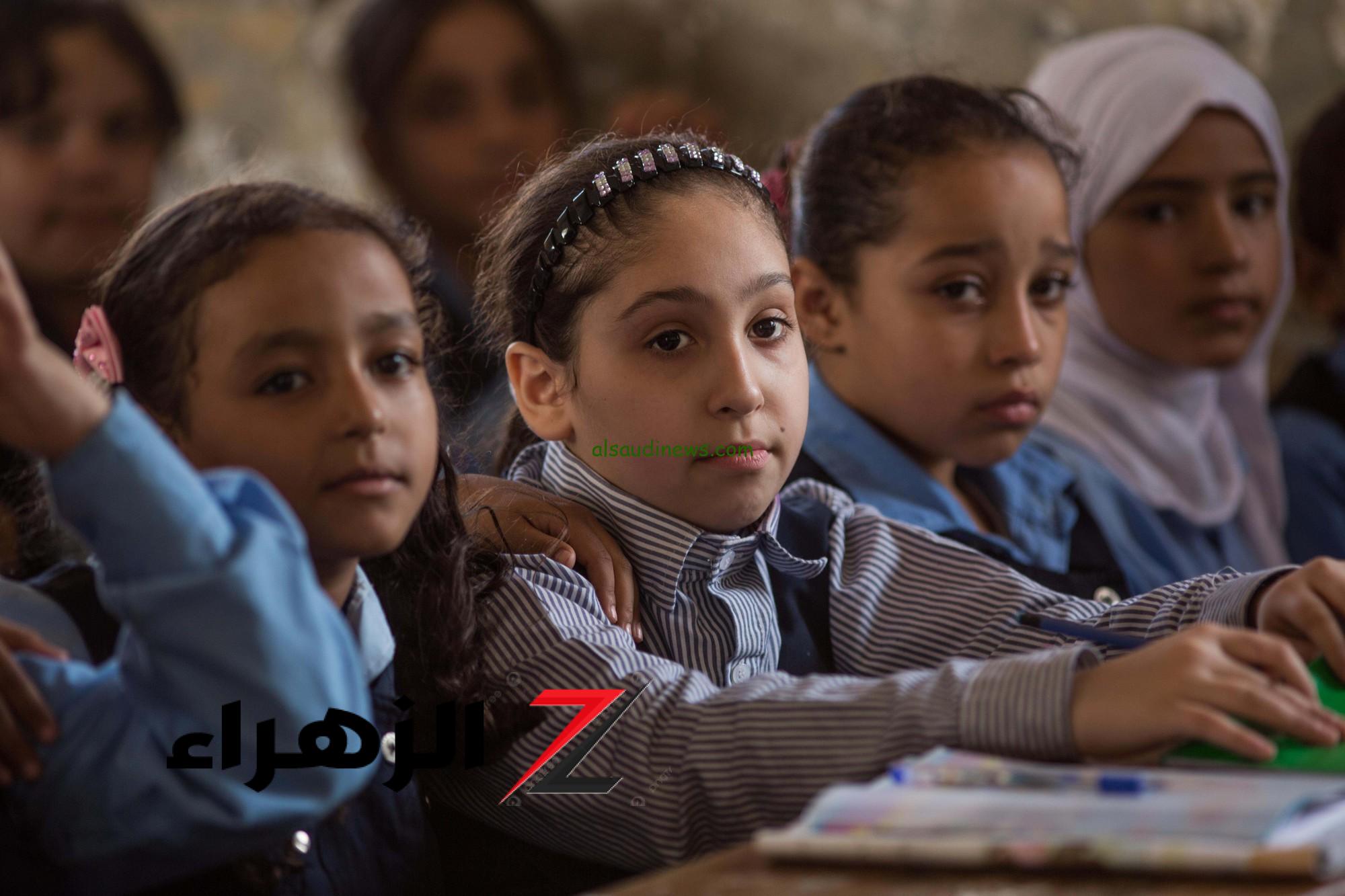 وزارة التعليم تعلن قواعد وخطوات التقدم لأولى ابتدائى وkg1 لعام 2027