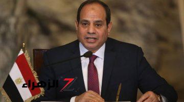 قرار عاجل من الرئيس السيسي يُسعد ملايين المصريين.. والحكومة تبدأ تنفيذه فورًا