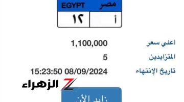 قيمتها تتخطى مليون جنيه.. طرح لوحة سيارة جديدة مميزة رقمها “أ – 12” بالمزاد