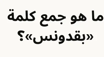 أبكت ملايين الطلاب!!.. ماهو جمع كلمة« بقدونس » التي حيرت طلاب الثانوية في امتحان اللغة العربية وجننت المعلمين؟؟ إجابة غير متوقعة من دكتور جامعي