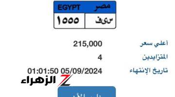 لوحتك بإسمك.. سعر لوحة “س ي ف- 1555” المميزة يصل 215 ألف جنيه