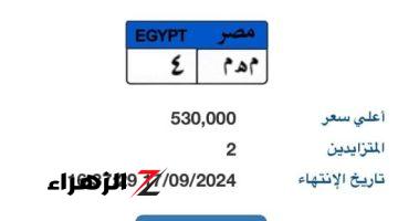 مزاد جديد على لوحة “م هـ م – 4” وسعرها يتخطى نصف مليون جنيه بعد ساعة من عرضها