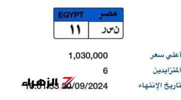 مزايدة على آخر لوحة معروضة “نـ سـ ر- 11” يتخطى مليون جنيه و6 أشخاص يزايدون