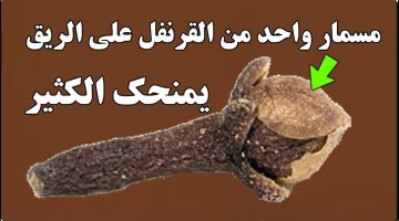 ابدأ يومك في مضغ مسمار واحد من القرنفل على الريق وانظر ماذا سيحدث !