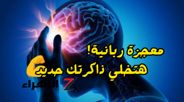 «معجزة ربانية من رب السماء!!»..هذا الطعام يقوي الذاكرة ويغذي المخ ويحسن بنية الدماغ.. تعرف عليه الآن فوراً!!