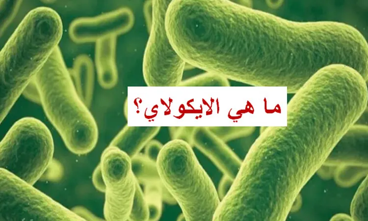 أعراض بكتيريا الإيكولاي