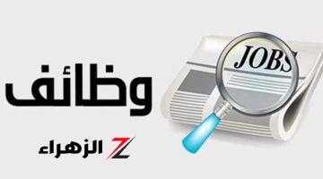 توفير 1450 فرصة عمل لأصحاب هذه المؤهلات.. مصانع ومدارس وشركات