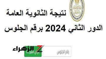 نتيجة الثانوية العامة الدور الثاني 2024.. أسرع رابط للحصول عليها عبر العقارية