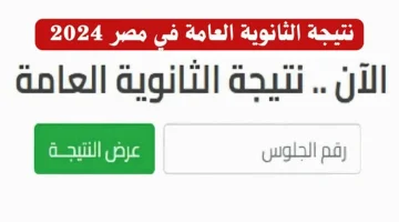 “التربية والتعليم” تعلن عن رابط نتيجة الثانوية العامة الدور الثاني 2024 بالاسم ورقم الجلوس