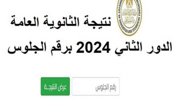 اعرف درجاتك.. رابط نتيجة الدور الثاني للثانوية العامة 2024 فور ظهورها