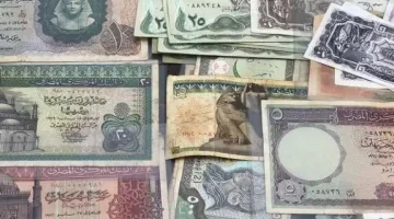 هتبقى مليونير.. أسعار العملات القديمة “الشلن والبريزة والريال” تصل ل 100 ألف جنيه