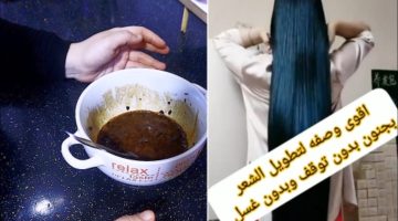 هدية للعرايس.. أقوى وصفة موجودة على وجه الأرض هطول شعرك بسرعة الصاروخ والنتيجة من أول استعمال