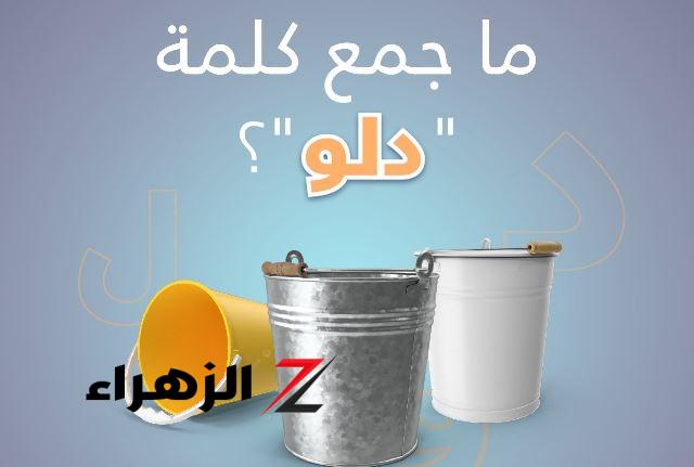 لغز حير الملايين.. ما هو جمع كلمة "دلو" في اللغة العربية؟! .. أتحداك تعرفها لوحدك - بوابة الزهراء الإخبارية