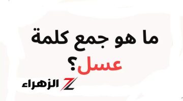 “صدمة لـ15 مليون طالب”!.. ما هو جمع كلمه عسل في اللغة العربية.. الاجابة مش هتخطر على بال حد