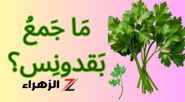 “عالم أزهري يكشف اللغز!”.. ما هو جمع كلمة بقدونس جميع طلاب الثانوية العامة التي حيرت الآباء والأمهات والمدرسين!