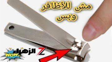 «كنز مهدور حقه»!!.. 5 استخدامات سحرية للقصافة غير القص اراهنك لو حد هيعرفها غيرك.. سر خبيه عن اعدائك