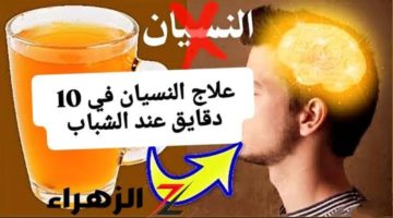 “يا بختك ياعم جبنالك الحل!”.. ودع النسيان مع 4 أعشاب طبيعية لتقوية الذاكرة.. هيكون عندك ذاكره زي الحديد.