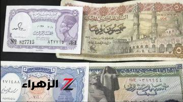 دور عليهم واشتري كل اللي نفسك فيه.. هل تمتلك الشلن أو البريزة؟ تعرف على أماكن بيعها بأسعار تصل لـ 100 ألف جنيه