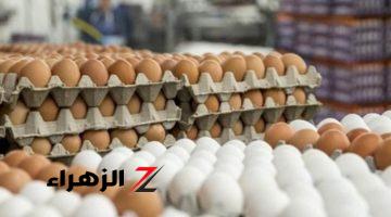 البيض رخص ويا تلحق يا متلحقش.. أسعار البيض بعد أن انخفض سعر الطبق 7 جنيهات