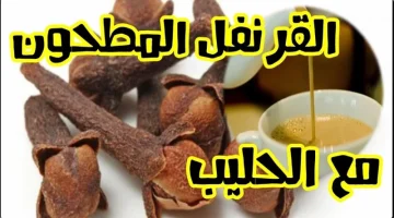 «ياريتني عرفت من زمان».. اشربي كوب واحد فقط من الحليب والقرنفل المطحون قبل النوم وشاهدي ماذا سيحدث لجسمك.. النتيجة ستدهشك!!؟