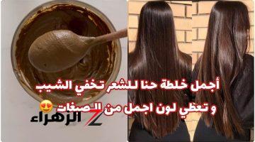 بإطالة طبيبعية ولون جذاب انسي الشيب من النهاردة !!.. أستخدمي أقوى خلطات الحناء الطبيعية لصبغ الشعر بلون لامع وجذاب بكل أمان.. ياريتني عرفتها من زماان!!