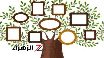 “شوف أصلك ونسبك بسرعة.. اعرف جدك الأربعين يطلع مين في ثواني! اكتشف شجرة عيلتك وجرب الطريقة الآن”