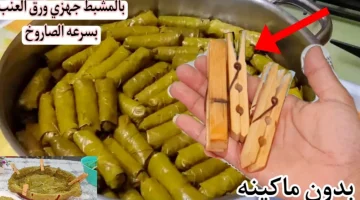 « مشبك الغسيل هو البديل..!! » تعالي اقولك فكرة عبقرية للف ورق العنب والكرنب في دقايق مش تستغني عنه ابدا..!