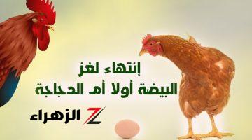 «أخيرا عرفـــنا الحل».. إجابة سؤال أيهما جاء أولًا للحياة «البيضة أم الدجاجة»؟؟ شاهد الإجابة المدهشة